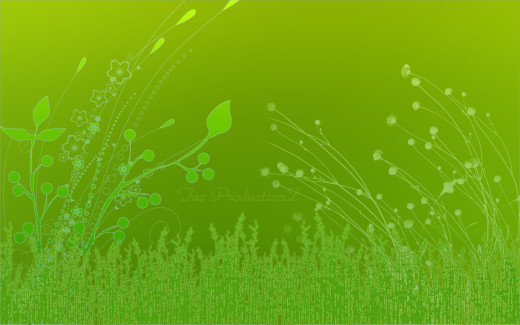 1039897 (a): :1920x1200